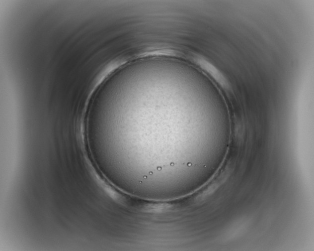 X0000115441282200911121116