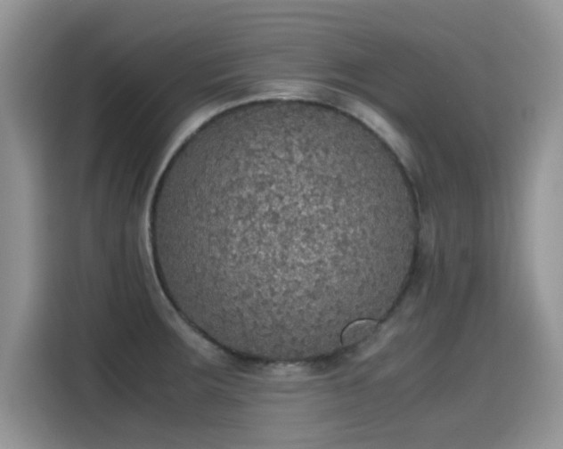 X0000115441283200911121116