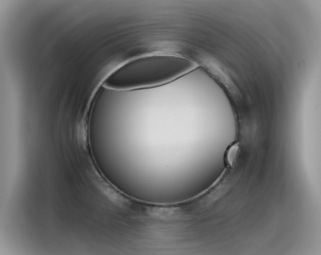X0000115441284200911121116