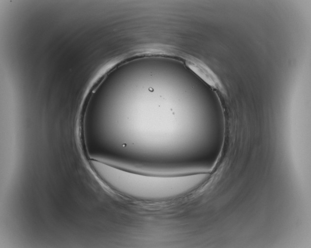X0000115441285200911121116
