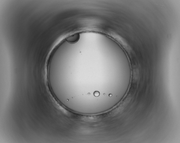 X0000115441286200911121116