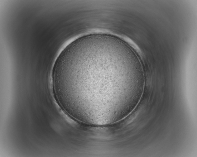 X0000115441287200911121116