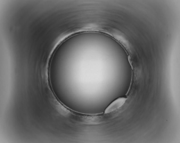 X0000115441288200911121116