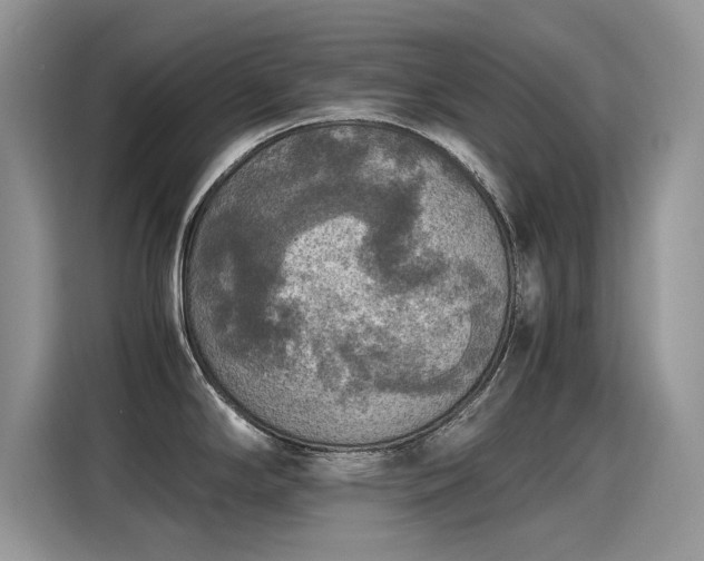 X0000115441294200911121116