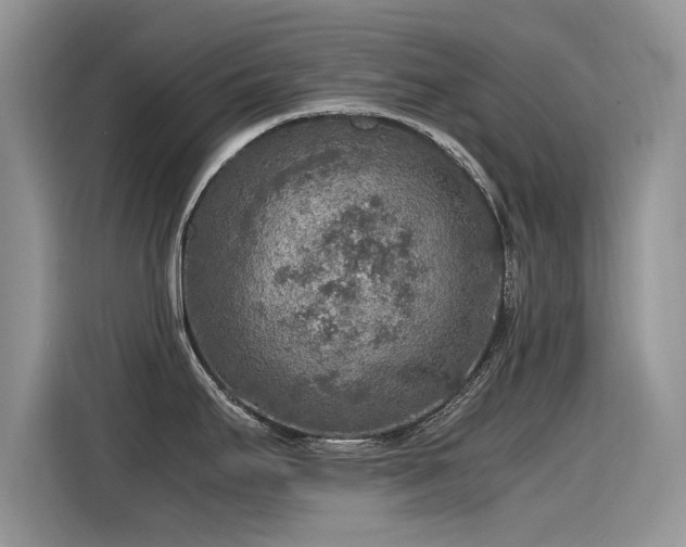 X0000115441295200911121116