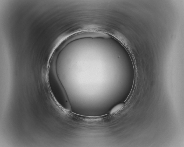 X0000115441296200911121116