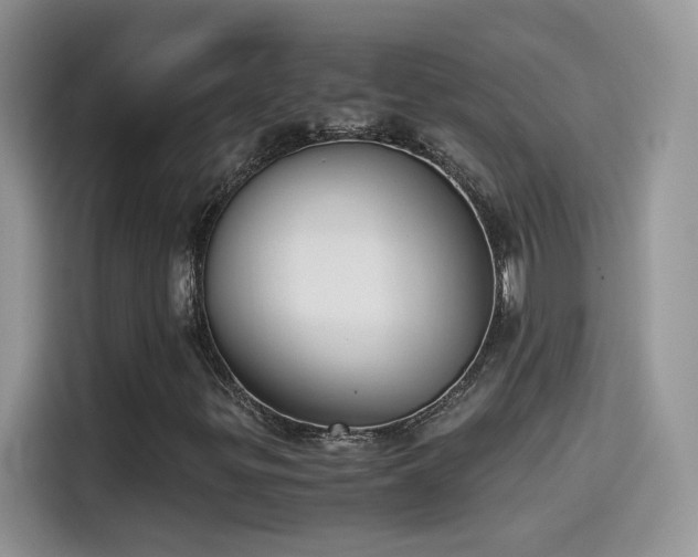 X0000115441299200911121115