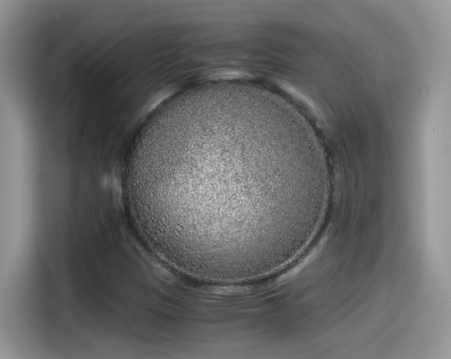 X0000115441305200911121115