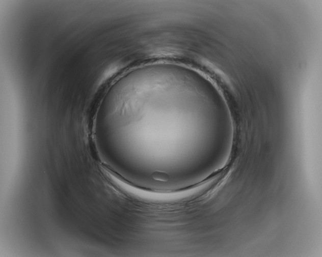 X0000115441306200911121115