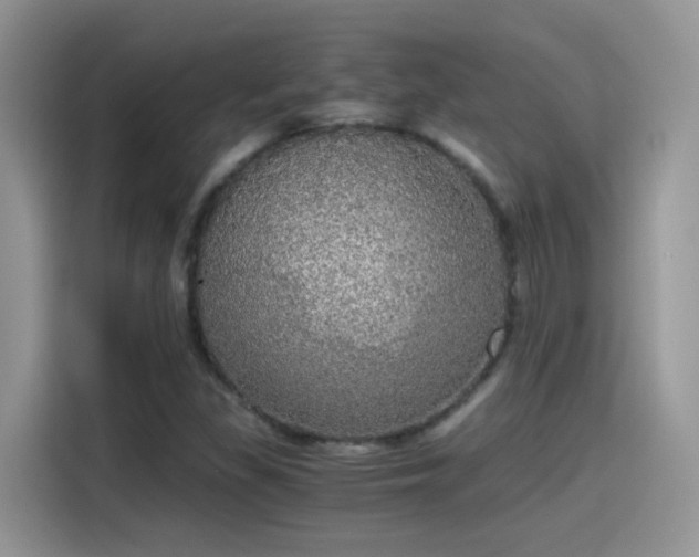 X0000115441309200911121115