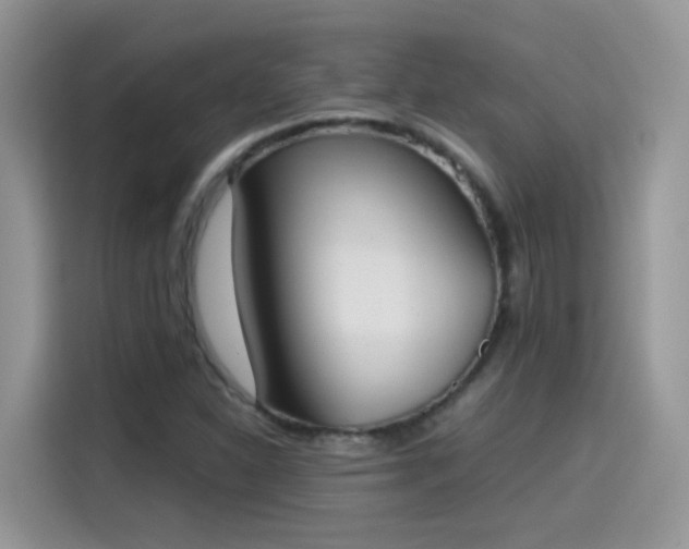 X0000115441310200911121115