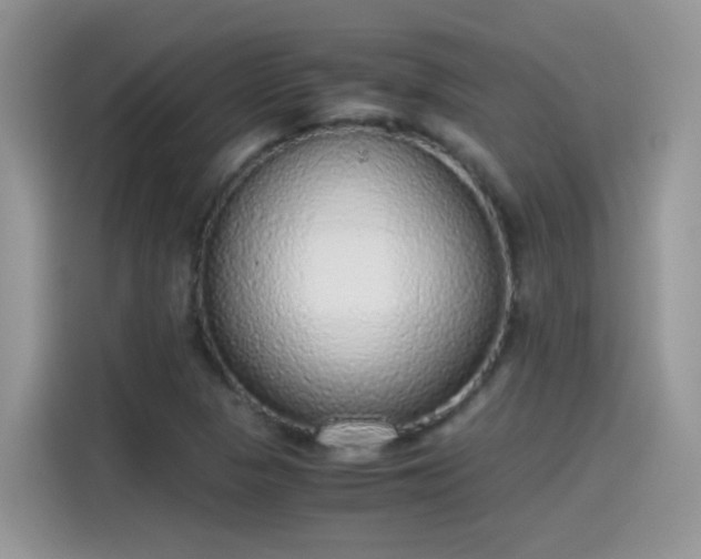 X0000115441313200911121115