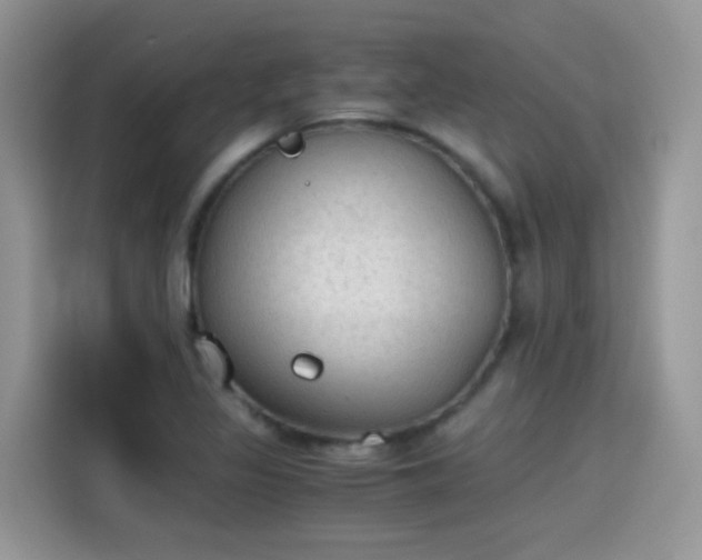 X0000115441317200911121115