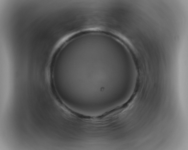 X0000115441319200911121115