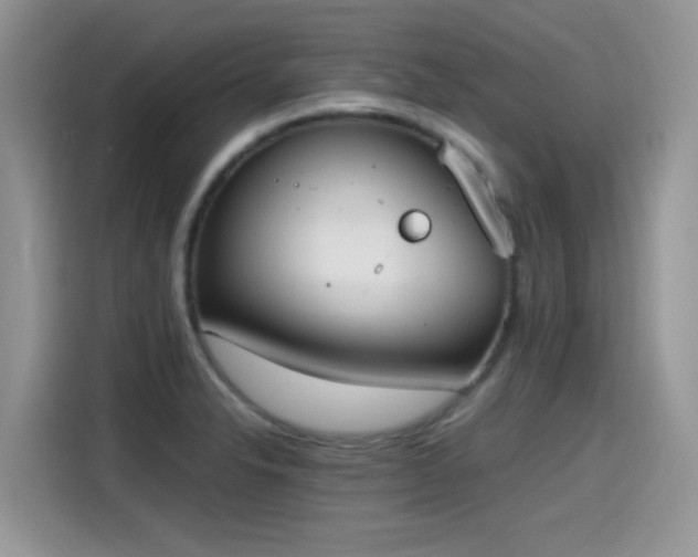 X0000115441326200911121115