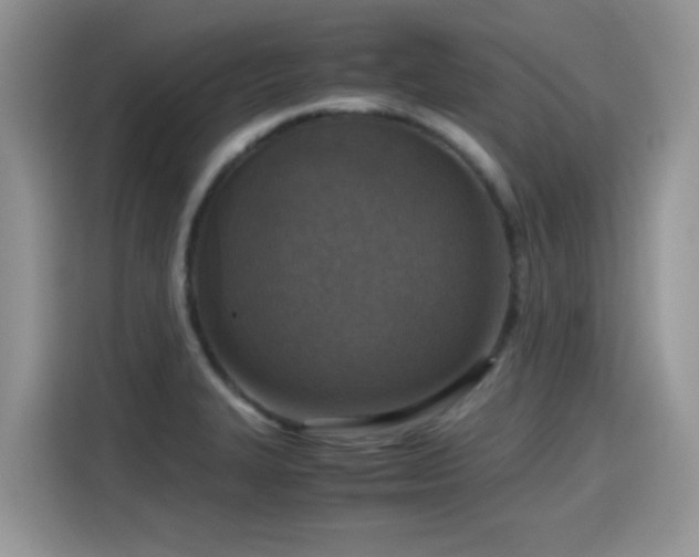 X0000115441327200911121115
