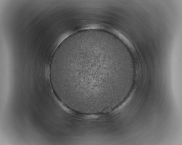 X0000115441329200911121115