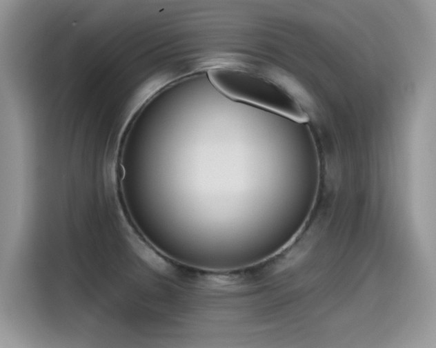 X0000115441330200911121115