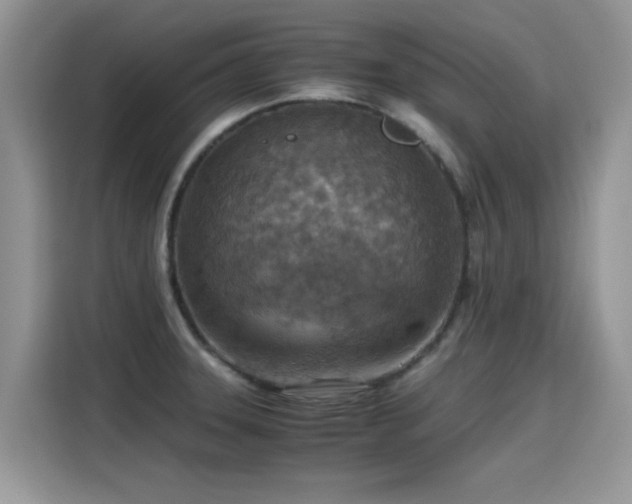 X0000115441331200911121115