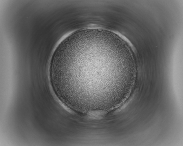 X0000115441333200911121115