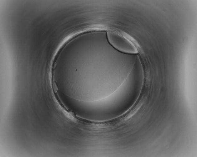 X0000115441334200911121115