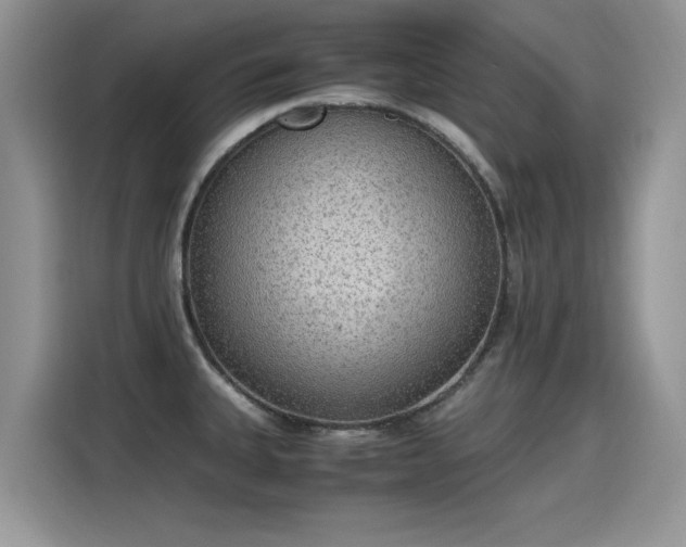 X0000115441335200911121115