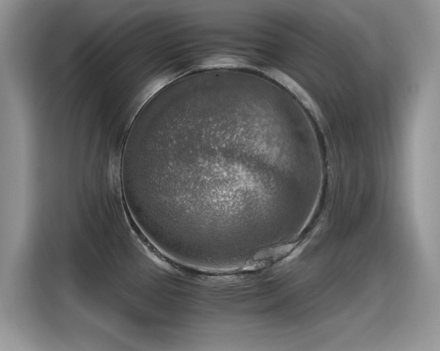 X0000115441337200911121115