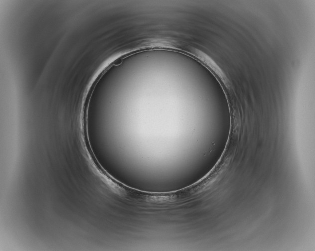 X0000115441339200911121115