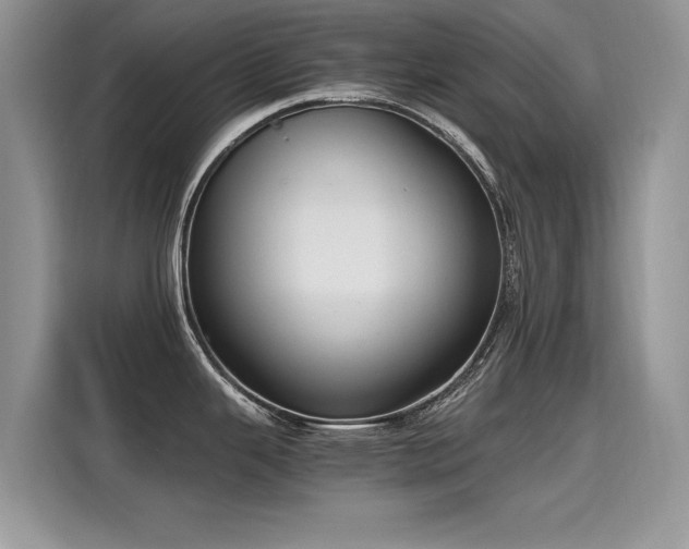 X0000115441343200911121116