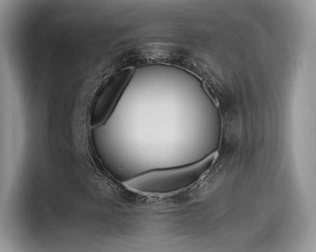 X0000115441345200911121115