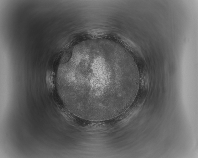 X0000115441346200911121115