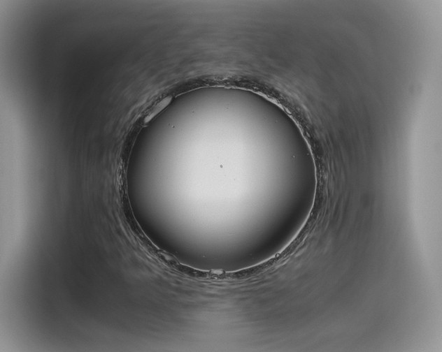 X0000115441349200911121115