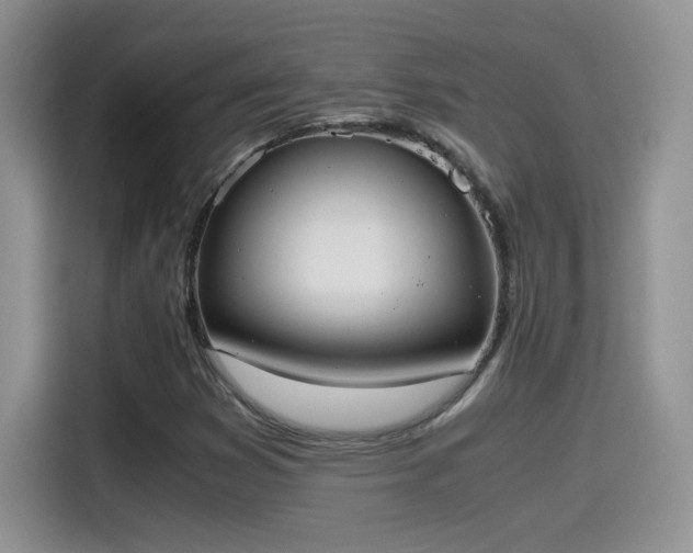 X0000115441353200911121115