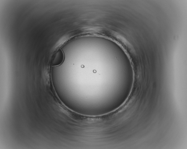 X0000115441354200911121115