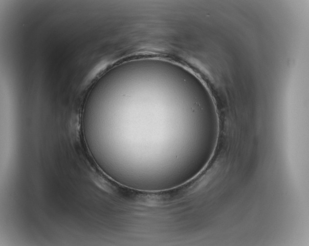 X0000115441355200911121115