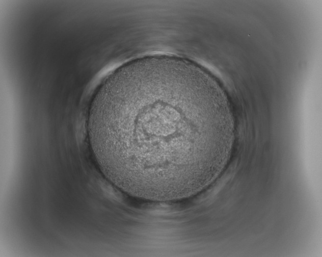 X0000115441359200911121115