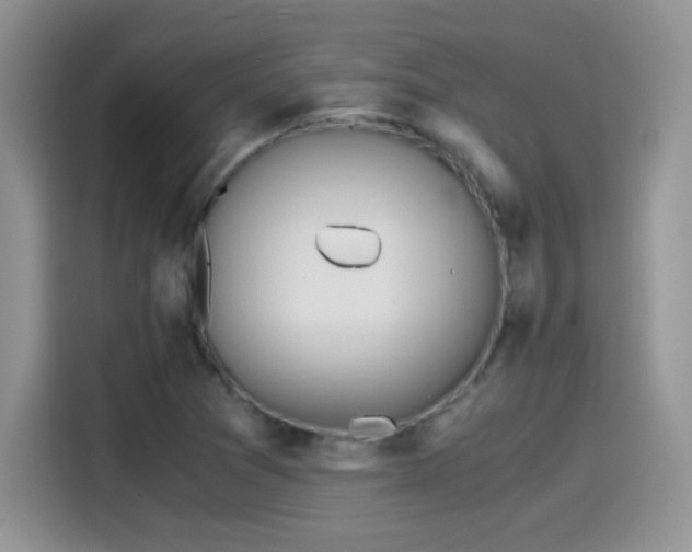 X0000115441361200911121115