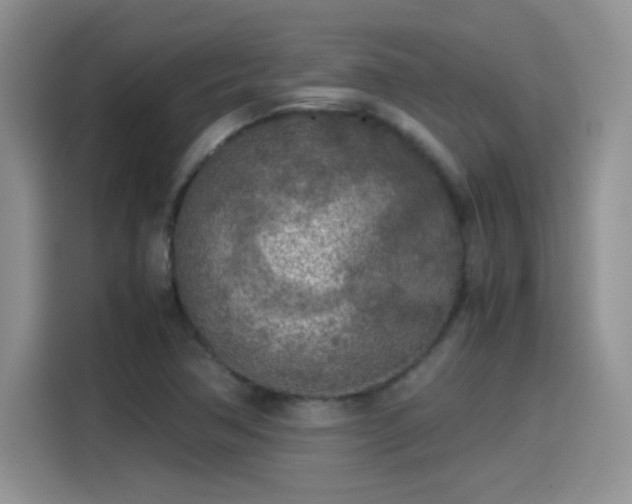 X0000115441362200911121115