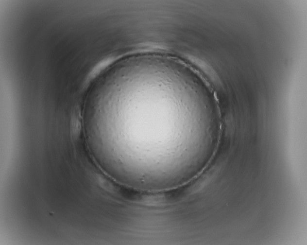 X0000115441363200911121115