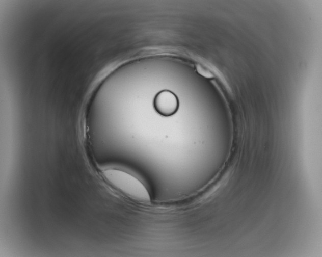 X0000115441365200911121115
