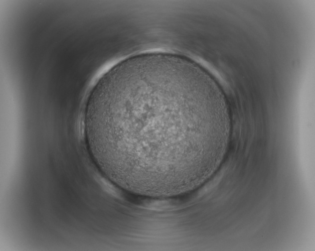 X0000115441367200911121115