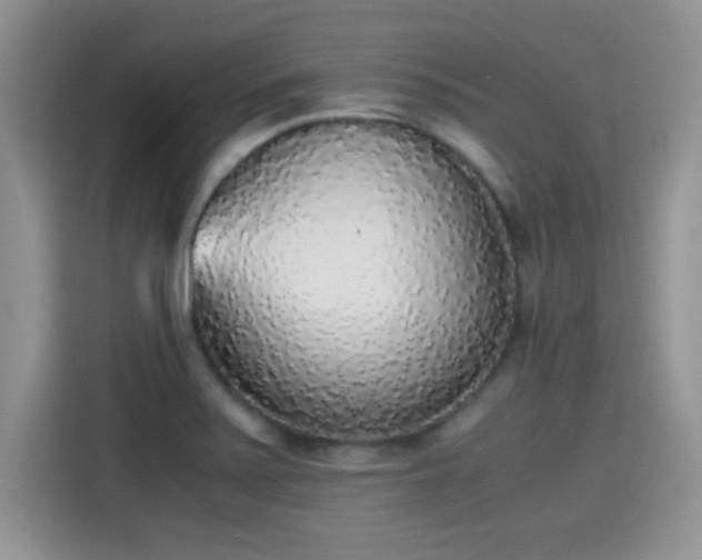 X0000115441371200911121115