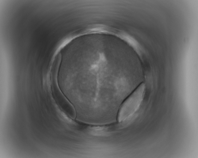 X0000115441373200911121115