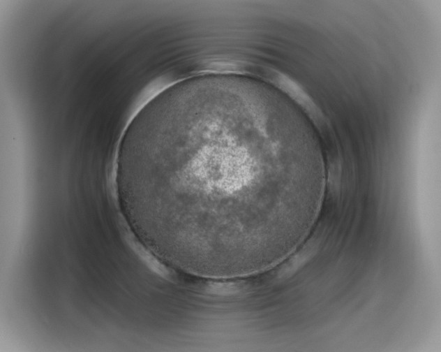 X0000115441378200911121114