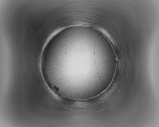 X0000115441379200911121114