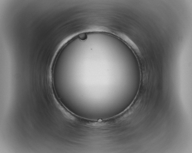 X0000115441380200911121114