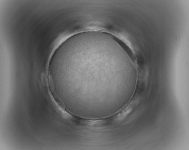 X0000115441381200911121114