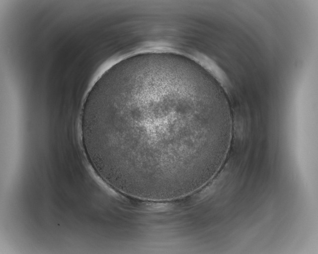 X0000115441382200911121114