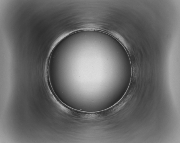 X0000115441387200911121114