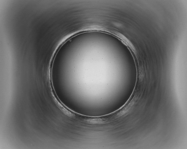 X0000115441388200911121114